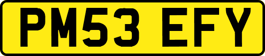 PM53EFY