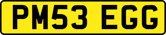 PM53EGG