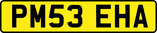 PM53EHA
