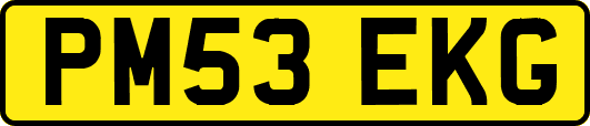 PM53EKG