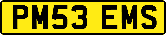 PM53EMS
