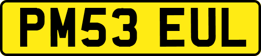 PM53EUL