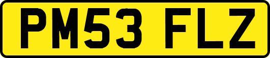 PM53FLZ