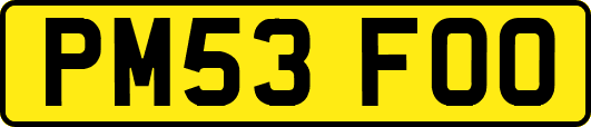 PM53FOO