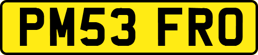 PM53FRO