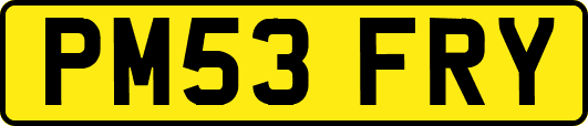 PM53FRY