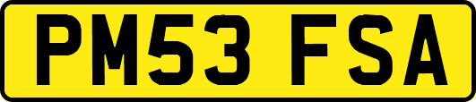 PM53FSA