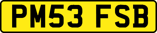 PM53FSB