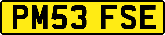 PM53FSE