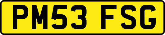 PM53FSG