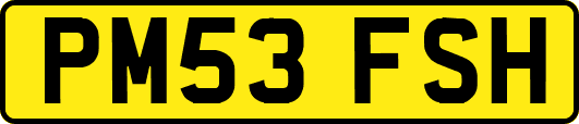 PM53FSH