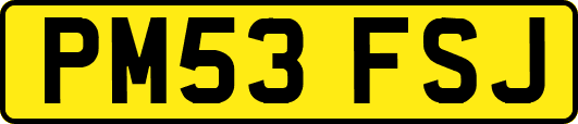 PM53FSJ