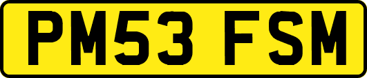 PM53FSM