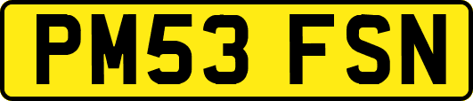 PM53FSN