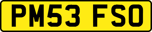 PM53FSO