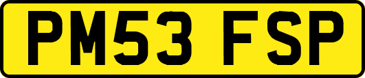 PM53FSP