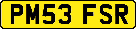 PM53FSR