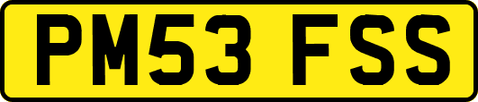 PM53FSS
