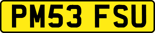 PM53FSU