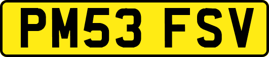 PM53FSV
