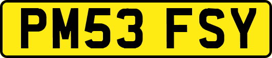 PM53FSY