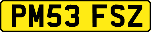 PM53FSZ