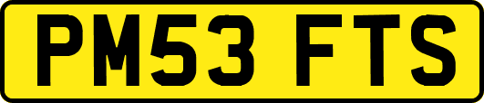 PM53FTS