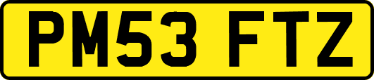 PM53FTZ