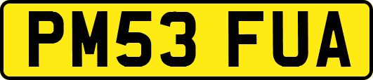 PM53FUA