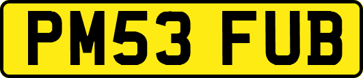 PM53FUB