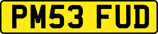 PM53FUD