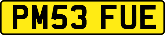 PM53FUE