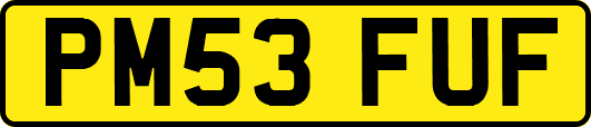 PM53FUF