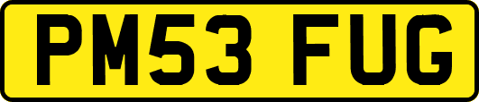 PM53FUG