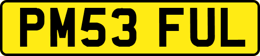 PM53FUL