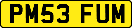 PM53FUM