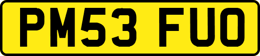 PM53FUO