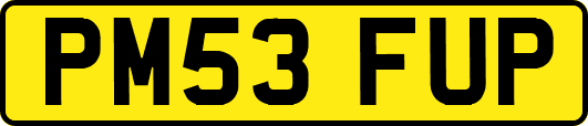 PM53FUP