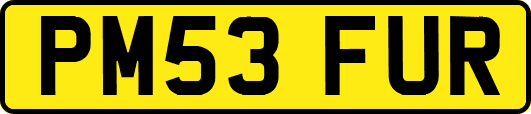 PM53FUR