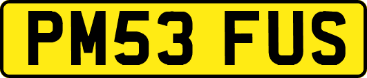 PM53FUS