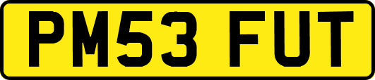 PM53FUT