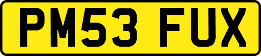 PM53FUX