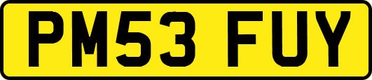 PM53FUY