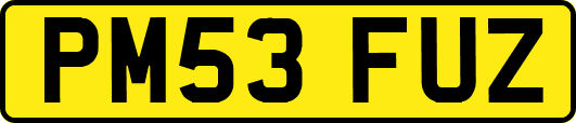 PM53FUZ