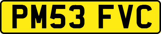 PM53FVC