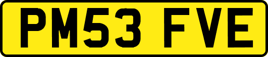 PM53FVE