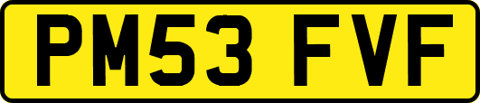 PM53FVF