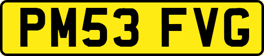 PM53FVG