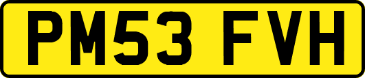 PM53FVH