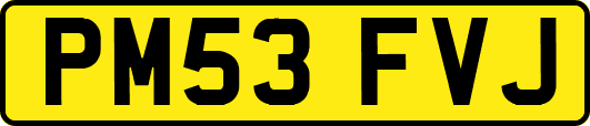 PM53FVJ